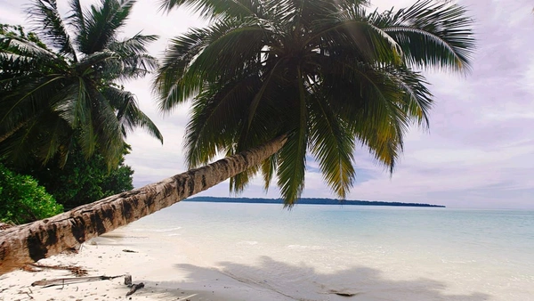 ANDAMAN GROUP TOUR - 7 DAYS